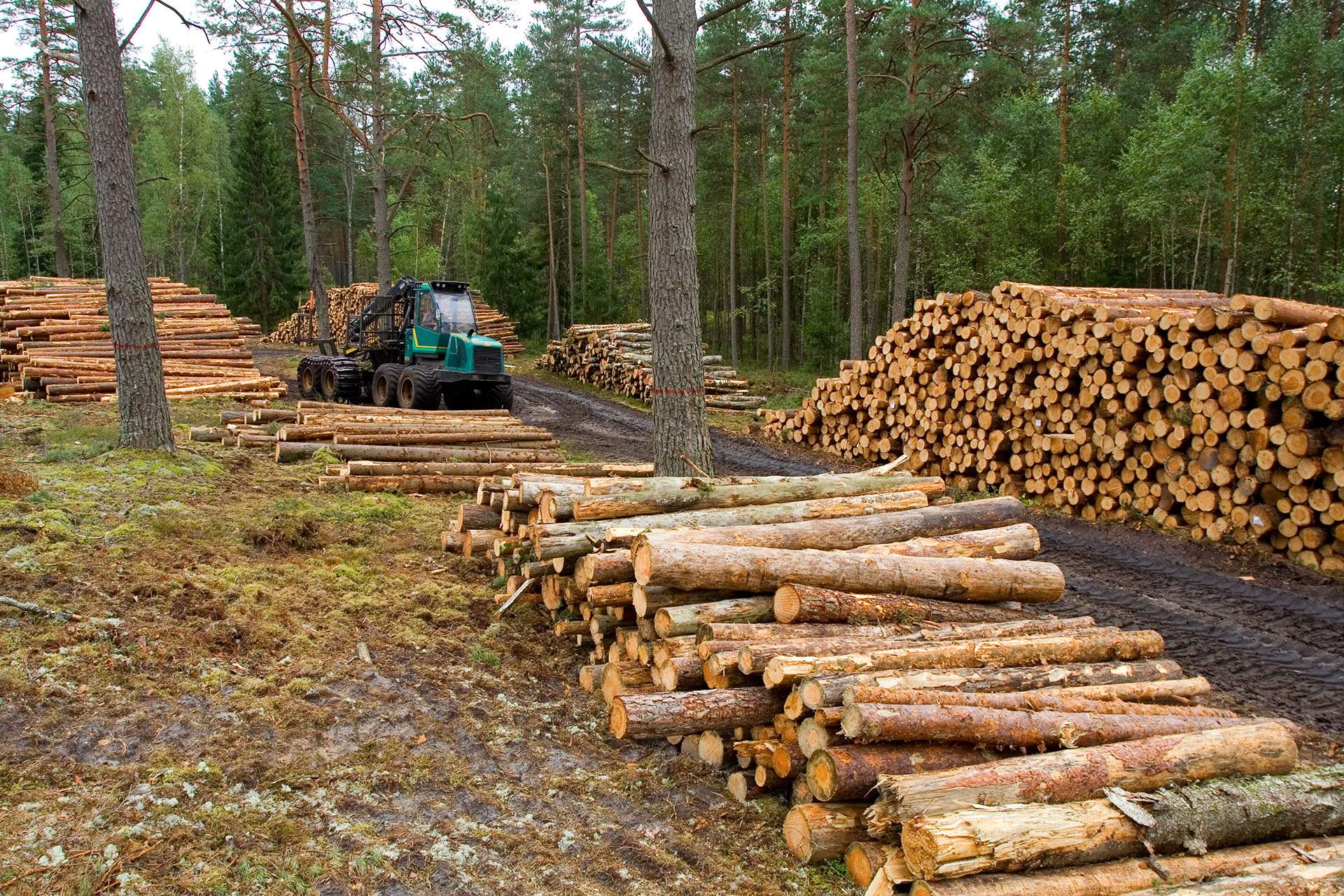 Spécialiste transport de céréales Merdrignac